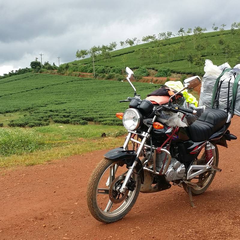 Unrivaled Excellence in Motorbike Tours: Unveiling the Wander Vietnam Tour Difference