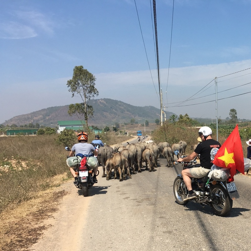 Easy Rider Tour - An Inclusive Motorbike Adventure for All Types of Travelers 