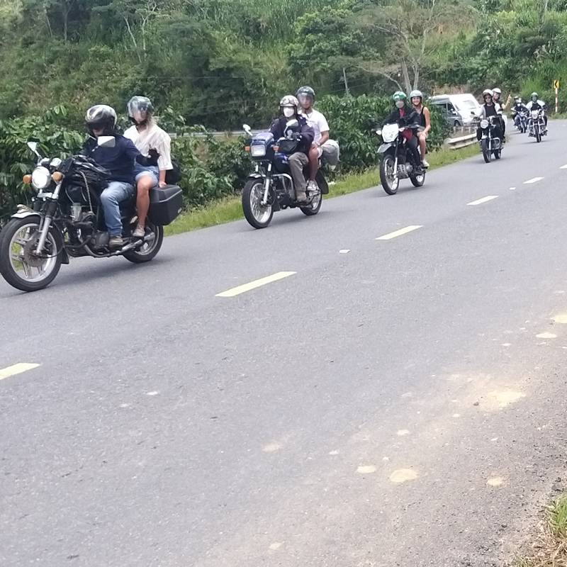 The Advantages of Choosing a Easy Rider - Motorbike Tour over Self-Renting in Vietnam