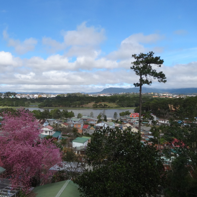 Explore Da Lat Efficiently: Time-saving and Rewarding Tour Routes