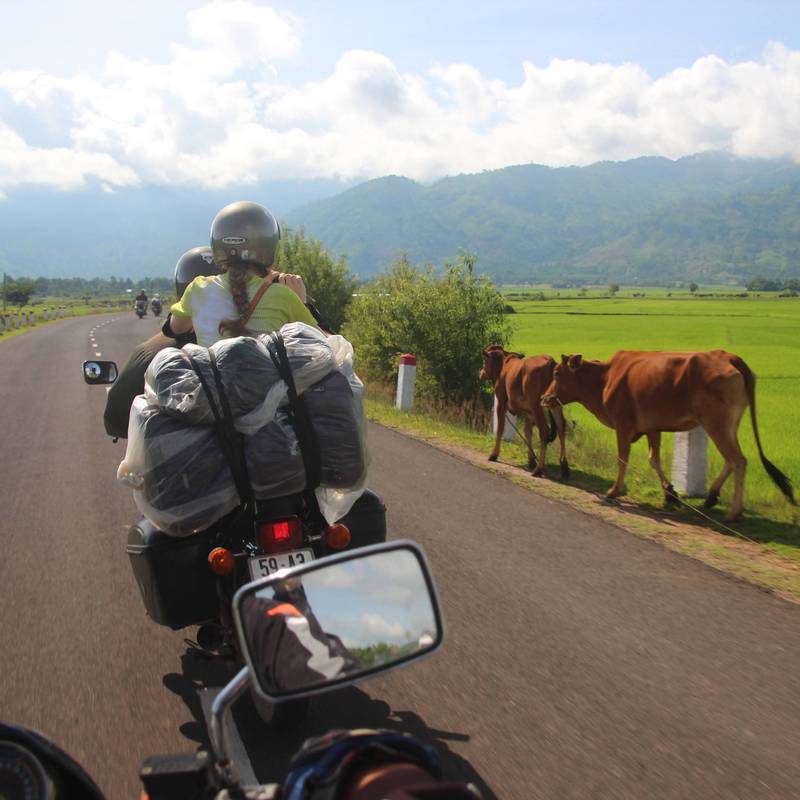 2-Day Hue to Hoi An Tour: Unraveling the Timeless Beauty