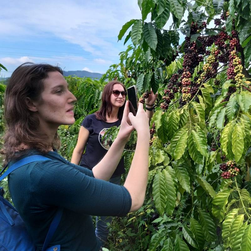 Coffee - Wine - Tea: Da Lat's Agricultural Treasures